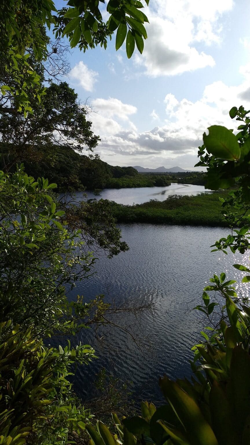 Parque Estadual do Acarai Galeria 02